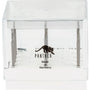 Panther Twist Drill#77 Set of 12